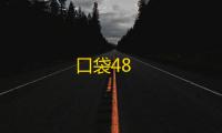 口袋48